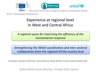 Experience at regional level in West and Central Africa