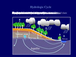 Interception on trees, impermeable surfaces