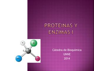 Proteínas y enzimas i