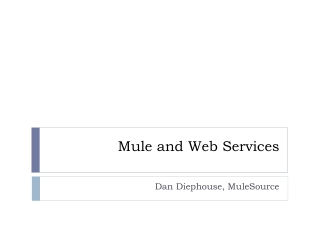 Mule and Web Services