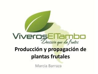 Producción y propagación de plantas frutales