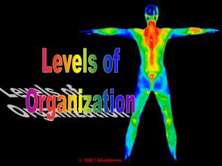 Levels of Organization