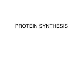 PROTEIN SYNTHESIS