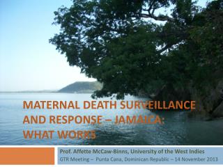 Maternal death surveillance and response – Jamaica: What works