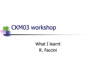 CKM03 workshop