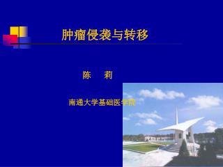 肿瘤侵袭与转移 陈 莉 南通大学基础医学院