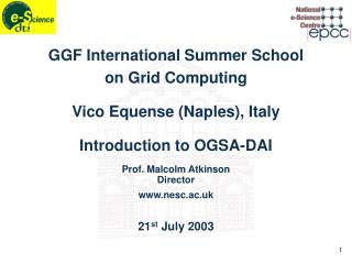 GGF International Summer School on Grid Computing Vico Equense (Naples), Italy