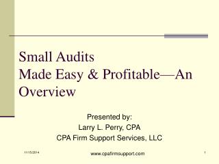 Small Audits Made Easy &amp; Profitable—An Overview