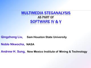 Multimedia Steganalysis as Part of Software IV &amp; V