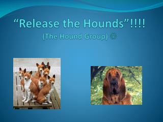 “Release the Hounds”!!!! (The Hound Group) 