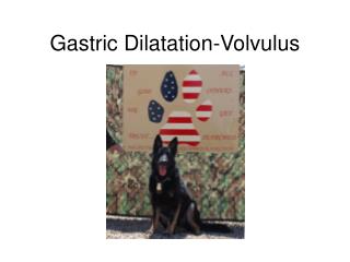 Gastric Dilatation-Volvulus