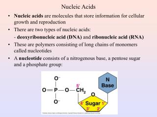 Nucleic Acids