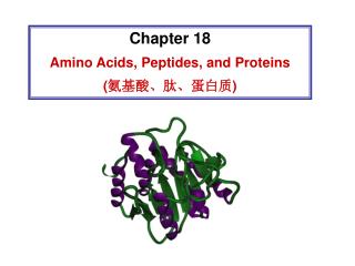 Chapter 18 Amino Acids, Peptides, and Proteins ( 氨基酸、肽、蛋白质 )