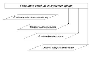 Развитие стадий жизненного цикла