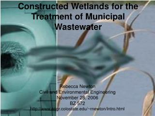 Constructed Wetlands for the Treatment of Municipal Wastewater