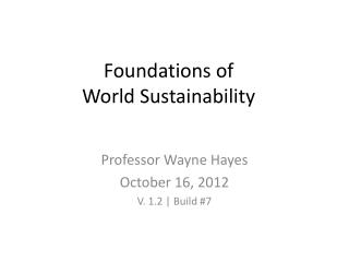 Foundations of World Sustainability