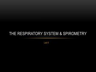 The Respiratory System &amp; Spirometry