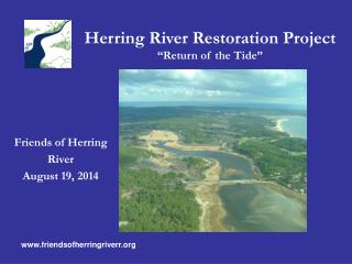 Herring River Restoration Project “ Return of the Tide ”