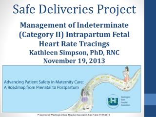 Safe Deliveries Project