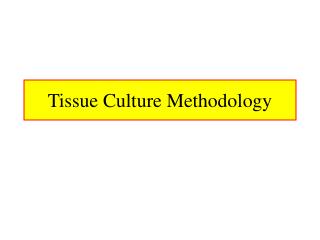 Tissue Culture Methodology