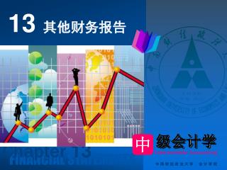 13 其他财务报告