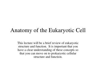 Anatomy of the Eukaryotic Cell