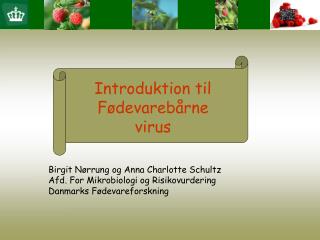 Introduktion til Fødevarebårne virus