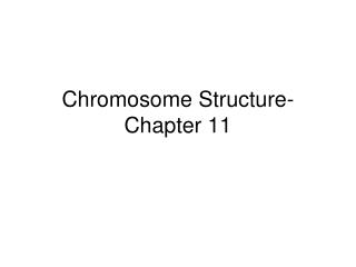 Chromosome Structure- Chapter 11