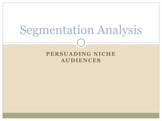 Segmentation Analysis