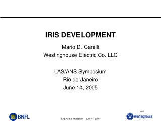 IRIS DEVELOPMENT