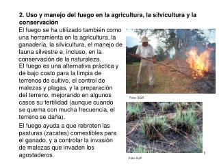 2. Uso y manejo del fuego en la agricultura, la silvicultura y la conservación