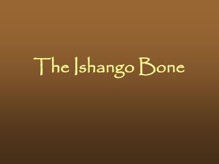 The Ishango Bone