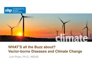 WHAT ’ S all the Buzz about? Vector-borne Diseases and Climate Change