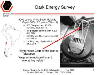 Dark Energy Survey