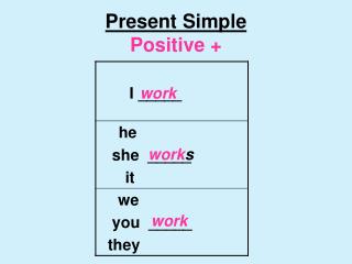 Present Simple Positive +