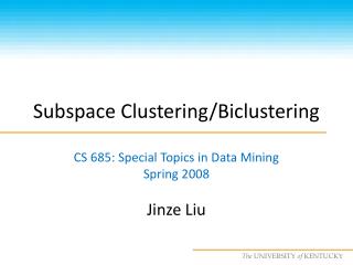 Subspace Clustering/Biclustering