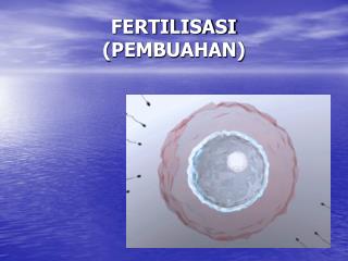 FERTILISASI (PEMBUAHAN)