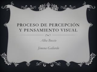 Proceso de percepción y Pensamiento visual