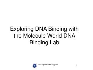 Digital-World-Biology