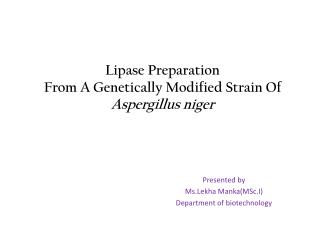 Lipase Preparation From A Genetically Modified Strain Of Aspergillus niger