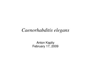 Caenorhabditis elegans