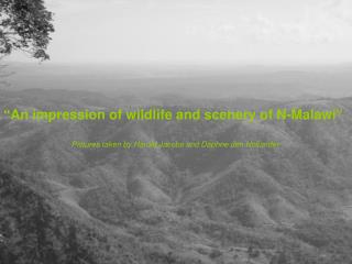 “An impression of wildlife and scenery of N-Malawi”