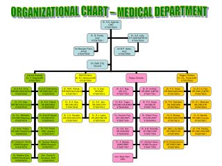 ORGANIZATIONAL CHART – MEDICAL DEPARTMENT