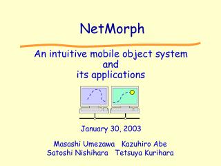 NetMorph