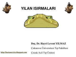 YILAN ISIRMALARI
