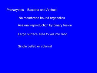 Prokaryotes – Bacteria and Archea