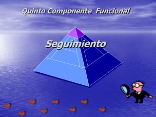 Quinto Componente Funcional Seguimiento