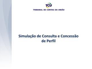 Simulação de Consulta e Concessão de Perfil