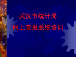 武汉市统计局 网上直报系统培训