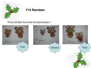 Y10 Reindeer